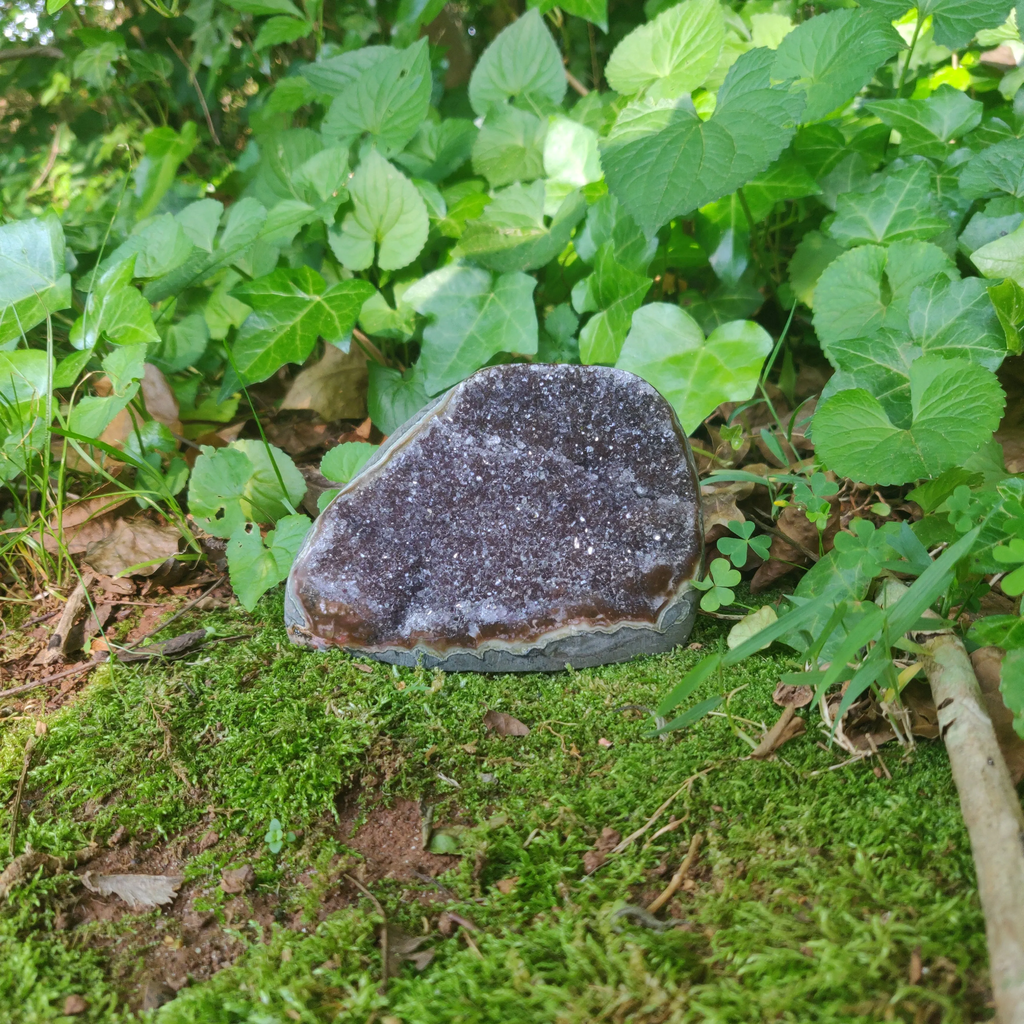 Amethyst Druzy Free Form (#5)