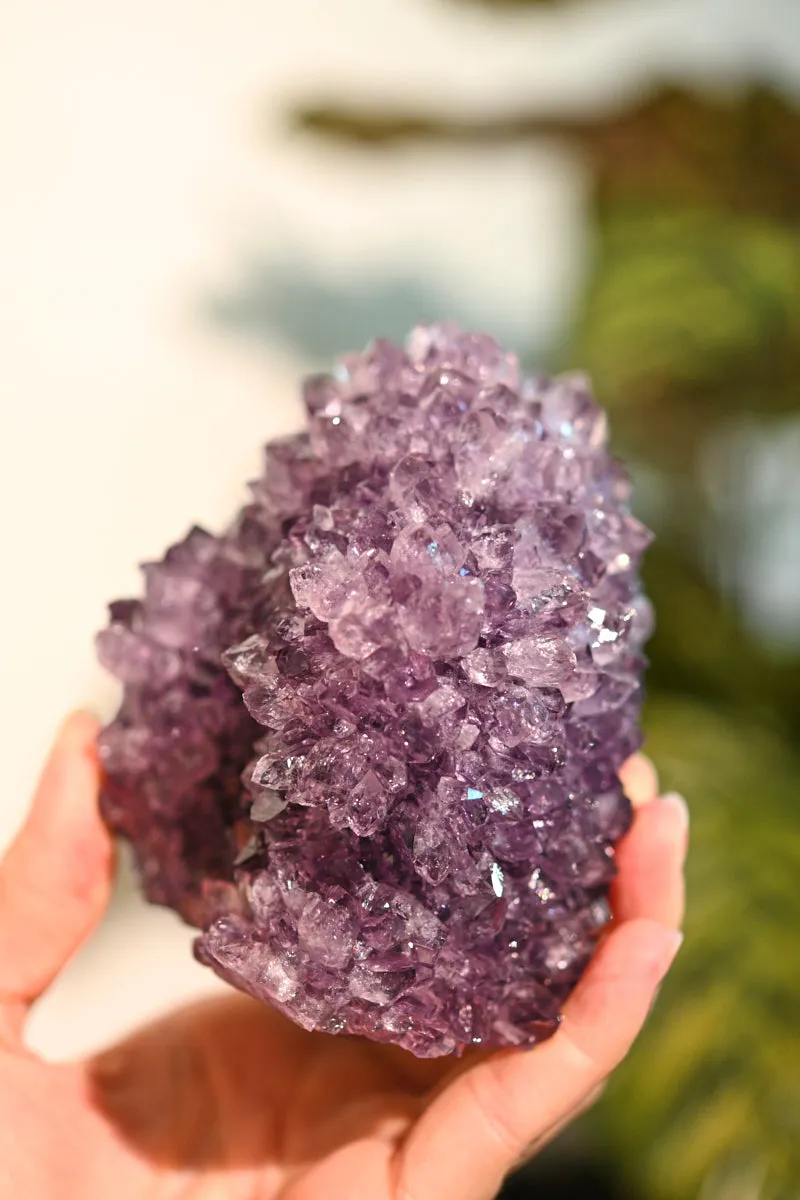 Amethyst Flower Cluster Freeform