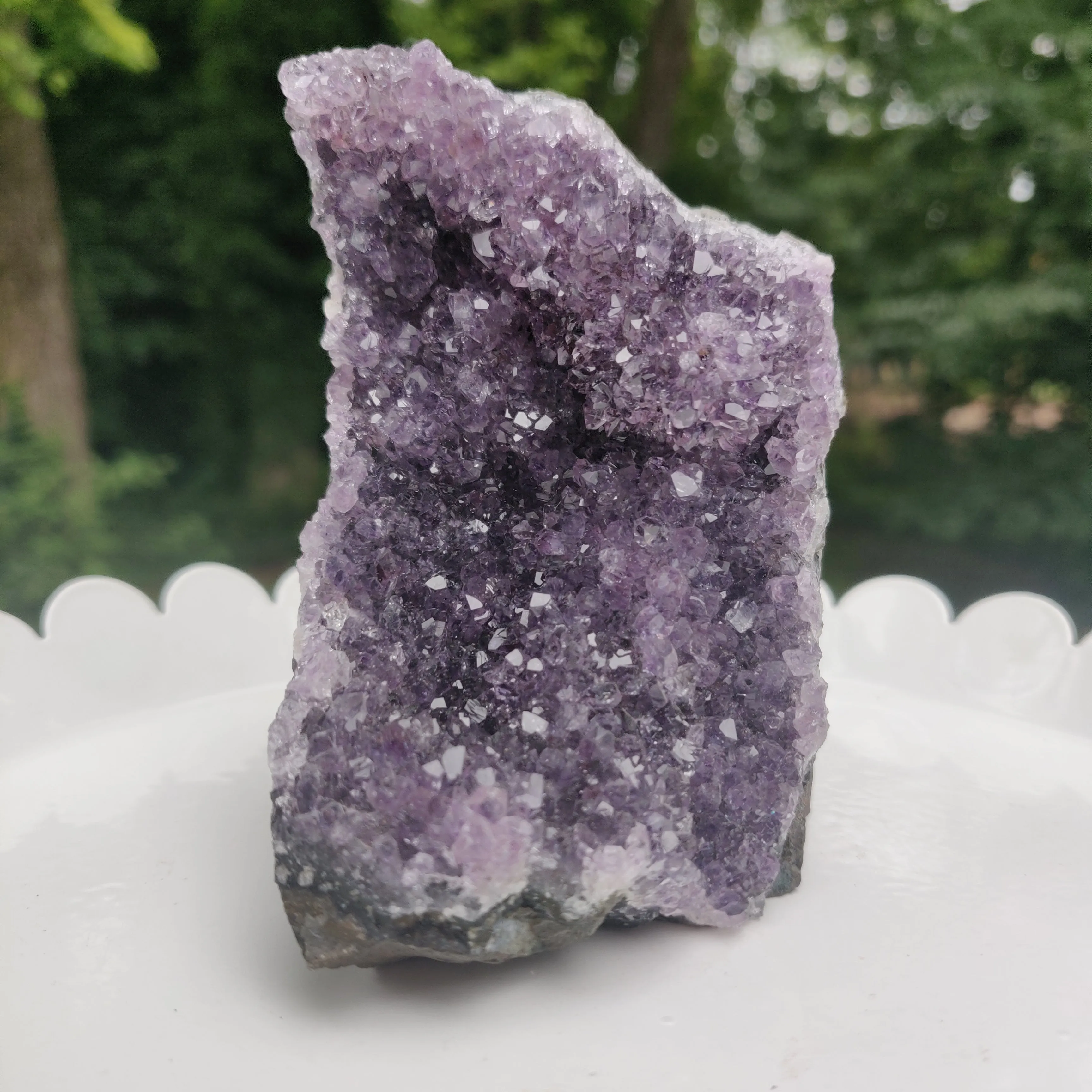 Amethyst Geode Free Form, Cut Base (#24)