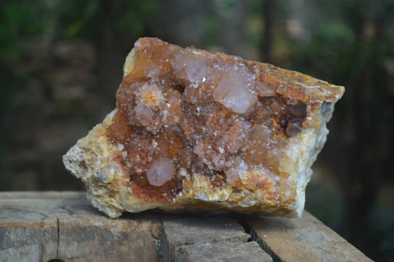 Natural Large Spirit Ametrine Quartz Cluster x 1 From Boekenhouthoek, South Africa