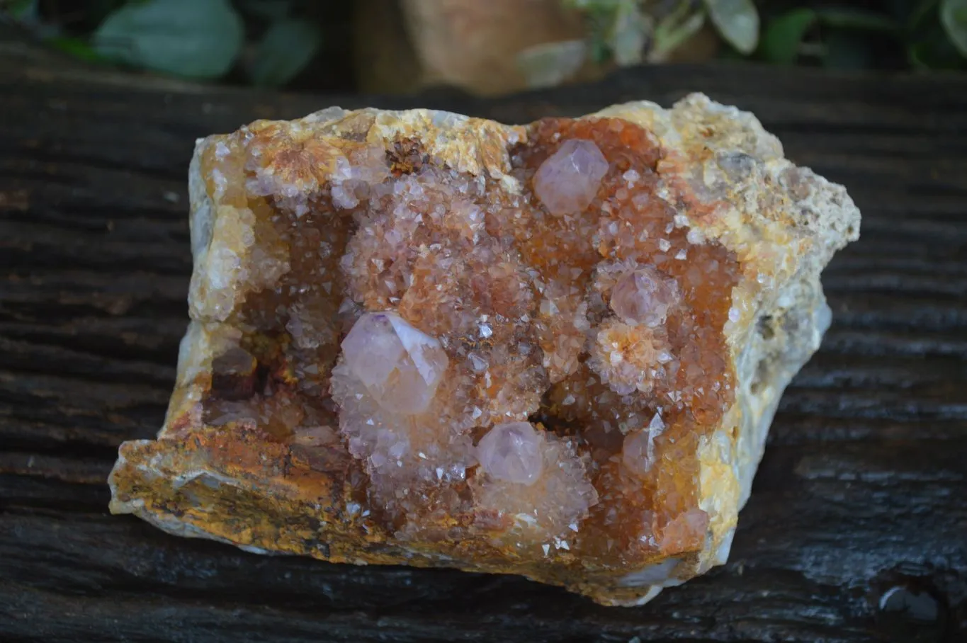 Natural Large Spirit Ametrine Quartz Cluster x 1 From Boekenhouthoek, South Africa