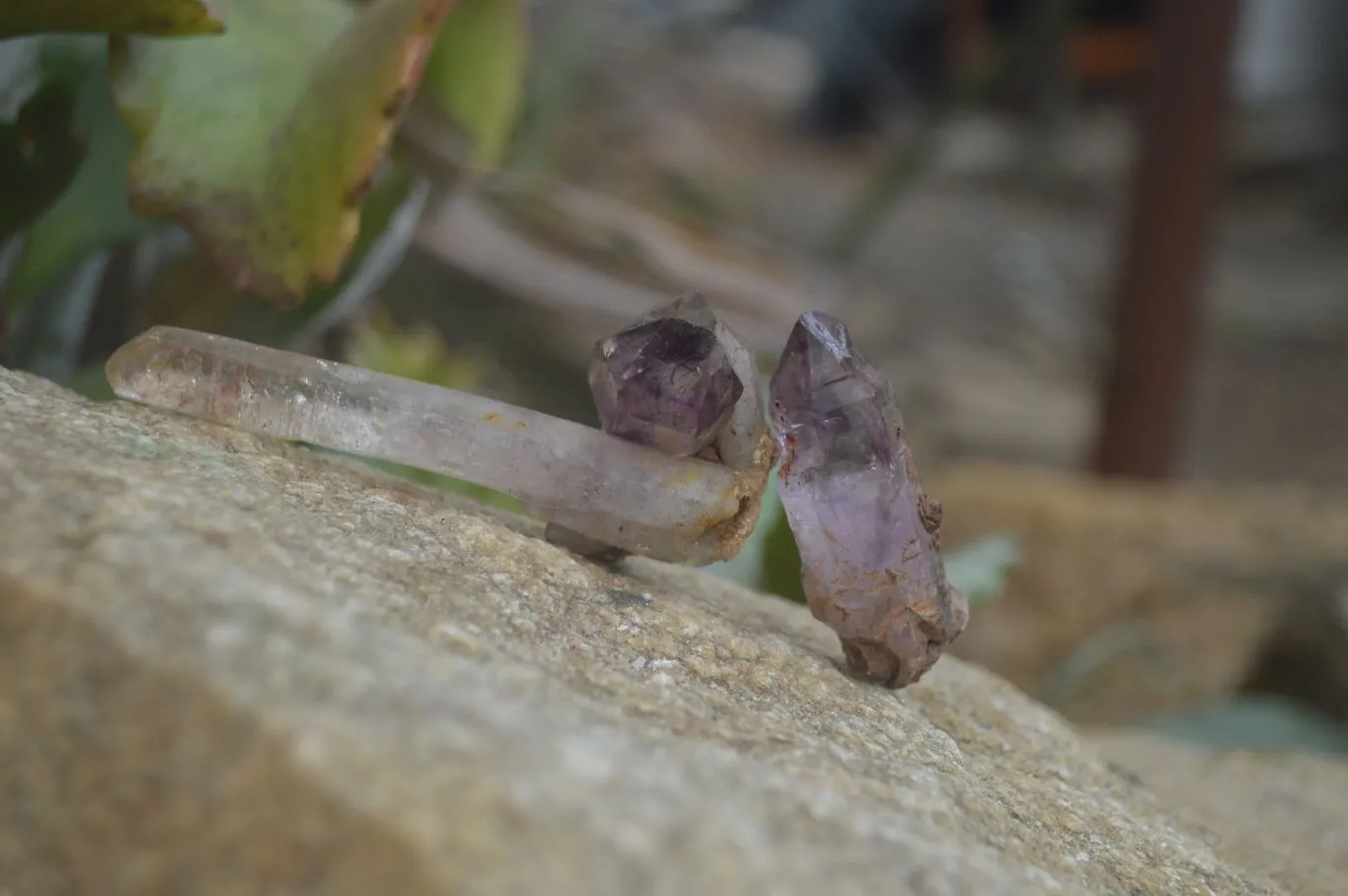 Natural Smokey Chiredzi Amethyst Crystals & Double Terminated Scepters x 35 From Chiredzi, Zimbabwe