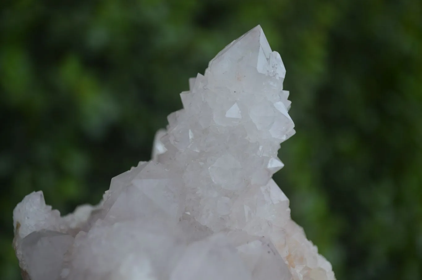 Natural Spirit Amethyst / Ametrine Quartz Clusters x 2 From Boekenhouthoek, South Africa