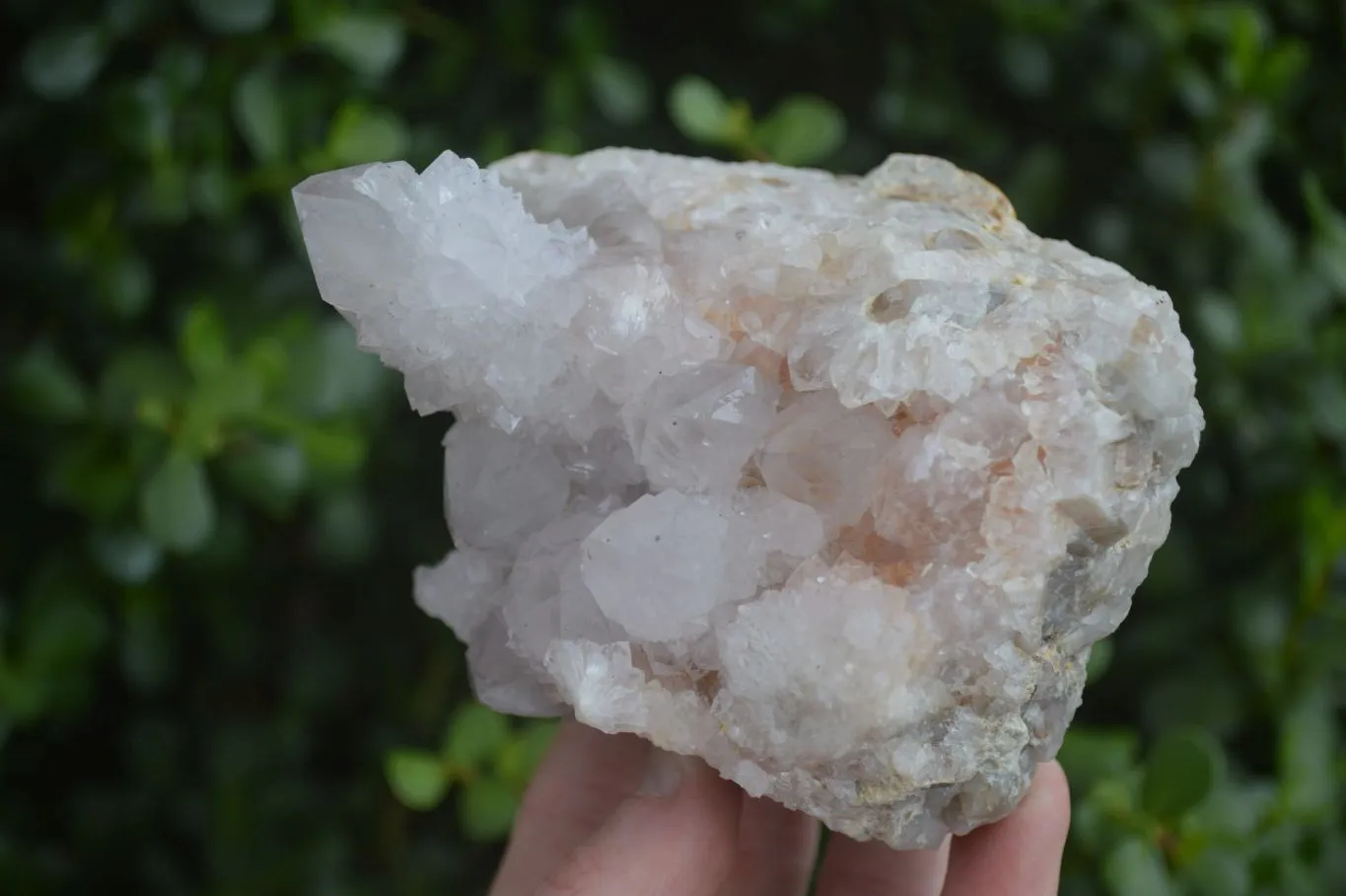 Natural Spirit Amethyst / Ametrine Quartz Clusters x 2 From Boekenhouthoek, South Africa