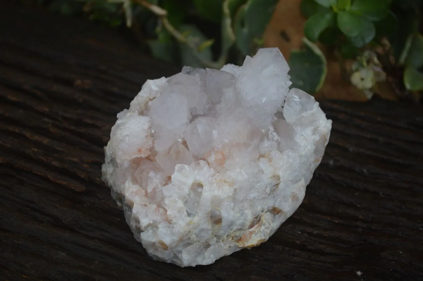 Natural Spirit Amethyst / Ametrine Quartz Clusters x 2 From Boekenhouthoek, South Africa