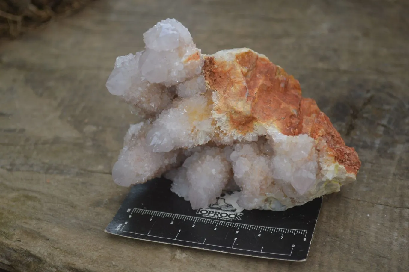 Natural Spirit Amethyst / Ametrine Quartz Clusters x 2 From Boekenhouthoek, South Africa